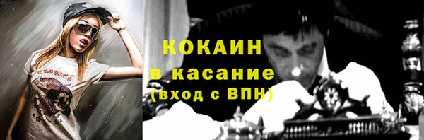 трава Арсеньев