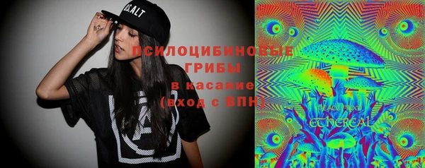крисы Аркадак