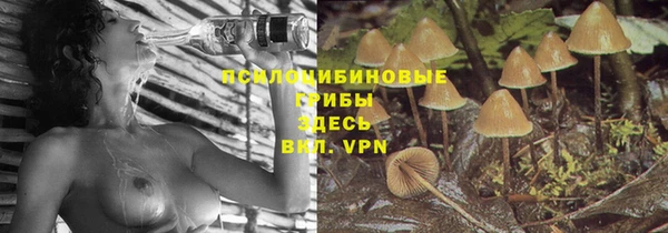 трава Арсеньев