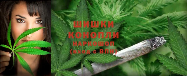 крисы Аркадак
